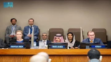 حل الدولتين.. تحرك دولي جديد بقيادة وزير الخارجية في اجتماع وزاري حاسم